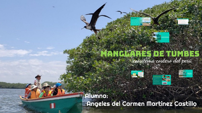 ECOSISTEMAS by Angeles Martinez Castillo on Prezi