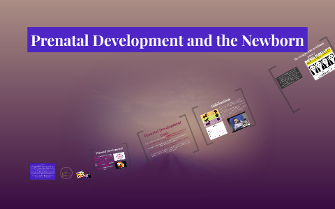 Prenatal Development and the Newborn by Leslie Hernandez on Prezi
