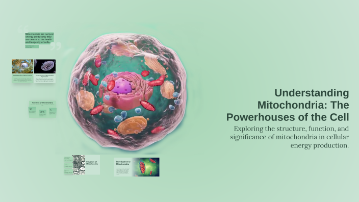 Understanding Mitochondria: The Powerhouses of the Cell by hama on Prezi
