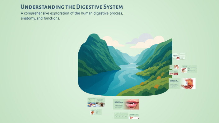 Understanding the Digestive System by tommy do on Prezi