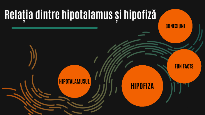 Relația Dintre Hipotalamus și Hipofiza By On Prezi