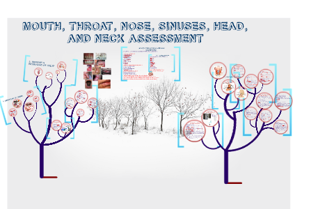 Mouth Throat Nose Sinuses Head And Neck Assessment By Prexy Lumapas