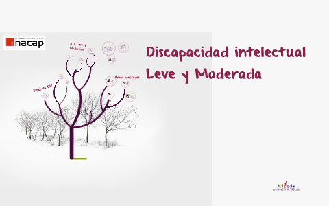 Discapacidad Intelectual Leve Y Moderada By Lessly Ponce Leiva On Prezi