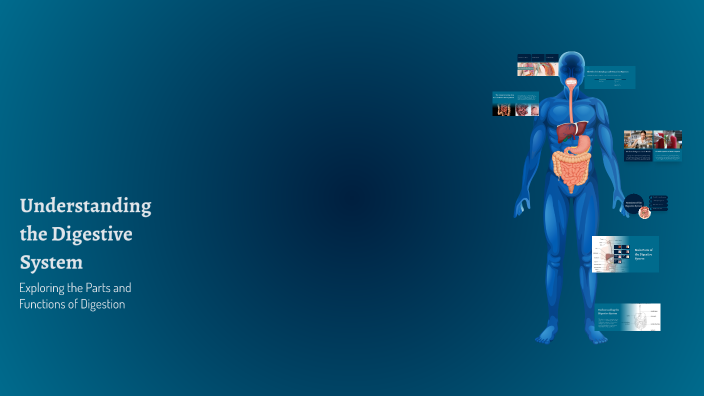 Understanding the Digestive System by Joecon Rubino on Prezi
