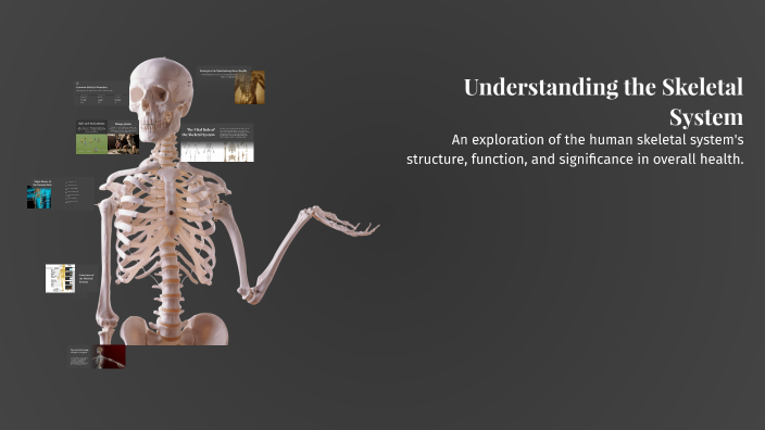 Understanding the Skeletal System by jessica carter on Prezi