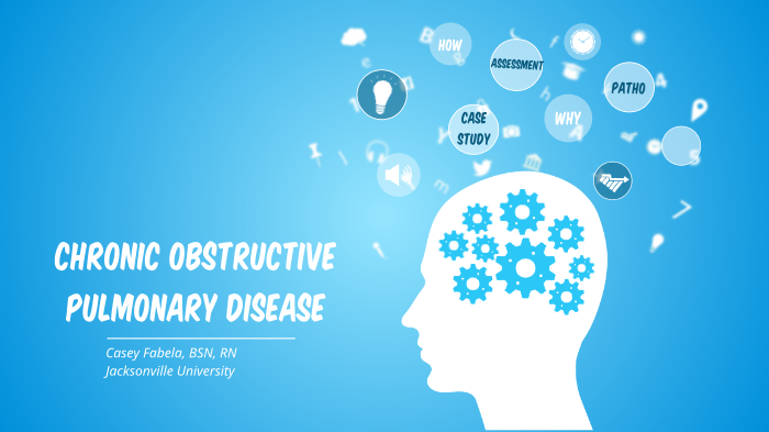 Appex case study prezi 08 image