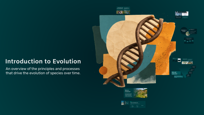 Introduction to Evolution by Горобець Звичайний on Prezi