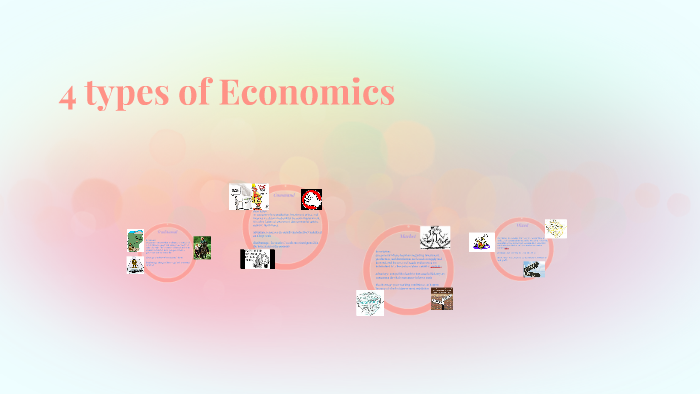 4 types of Economics by Haley Nikole