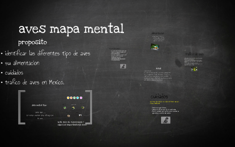 aves mapa mental by on Prezi Next