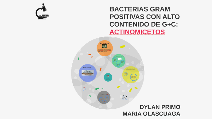 BACTERIAS GRAM POSITIVAS CON ALTO CONTENIDO DE GC: ACTINOMIC by dylan