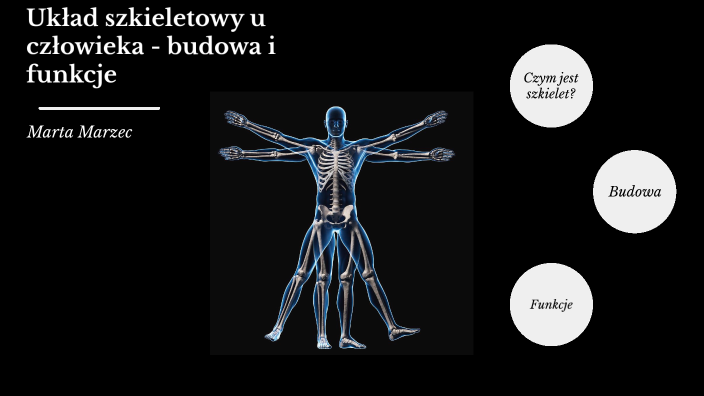 Układ szkieletowy u człowieka - budowa i funkcje by Marta Marzec on Prezi