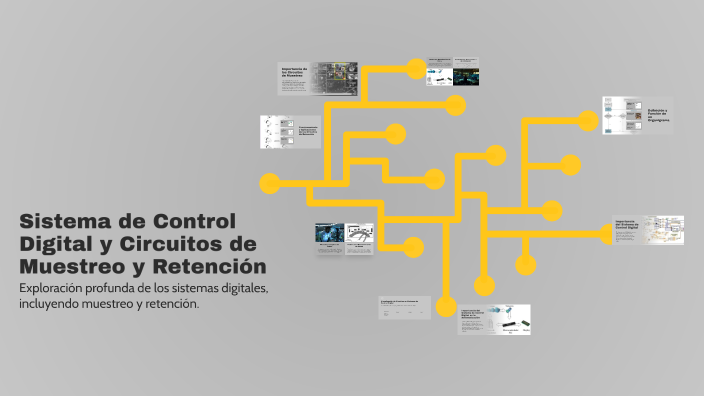 Sistema de Control Digital y Circuitos de Muestreo y Retención by Olger