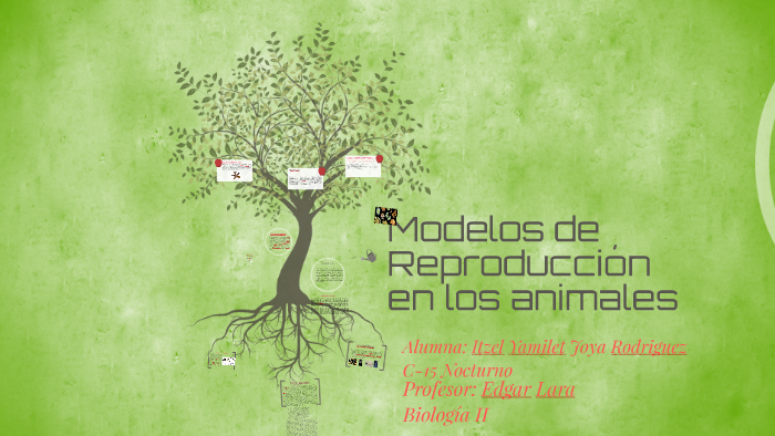 Modelos de Reproducción en los animales by Yamilet Rodríguez