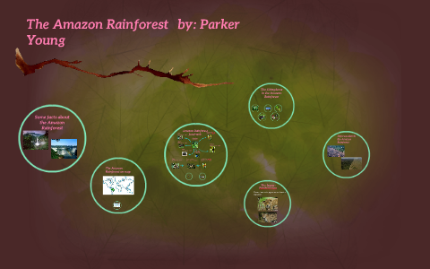 The Amazon Rainforest by Parker Young on Prezi