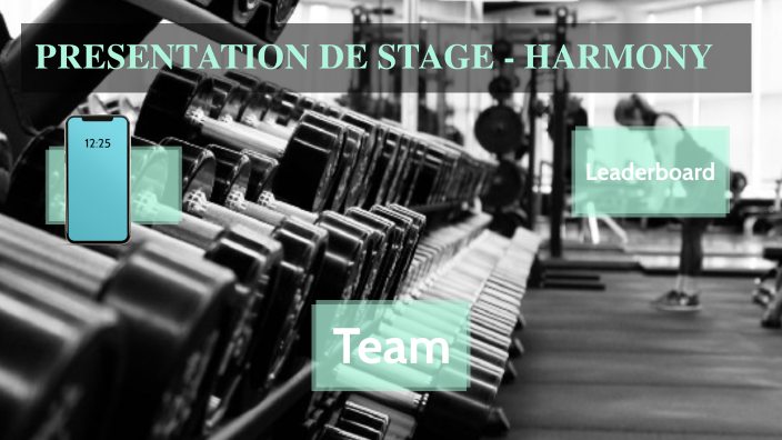 Présentation de stage - Harmony by Aurore Borealis on Prezi