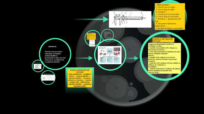 Nituirea by GRIGORE VIOREL on Prezi