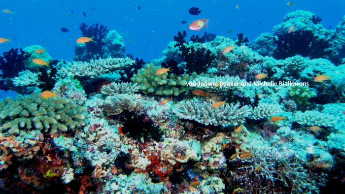Der Klimawandel und die Übersäuerung der Meere - eine Bedroh by MiKa ...