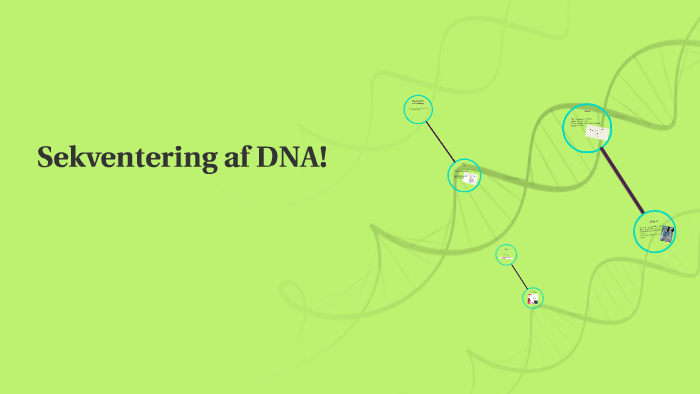 fremstilling af dna profil