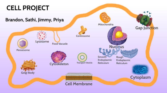 Bio Cell Project by Brandon Cheng on Prezi
