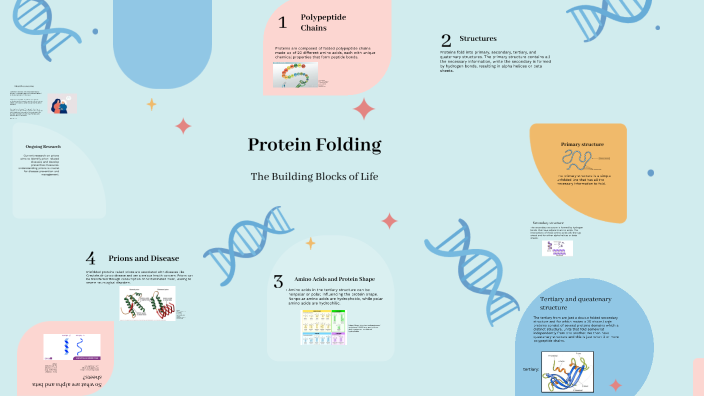 Protein Structure by Briana Reyes on Prezi