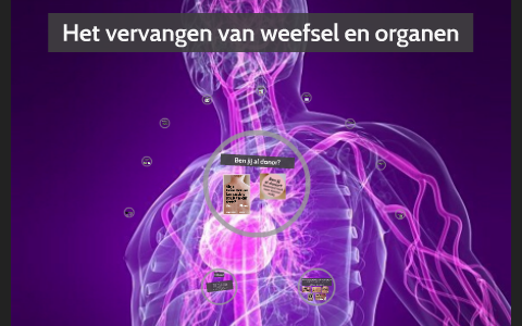 Het vervangen van weefsel en organen by Vera Kortekaas on Prezi