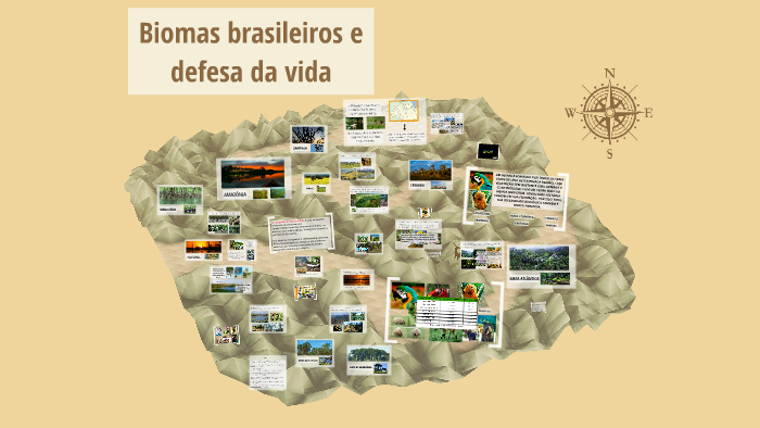 Biomas brasileiros by Juan silva on Prezi