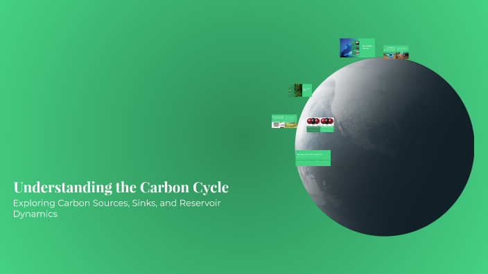 Understanding the Carbon Cycle by Lindsay Clark on Prezi