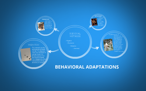 BEHAVIORAL ADAPTATIONS by jacob gilbert on Prezi