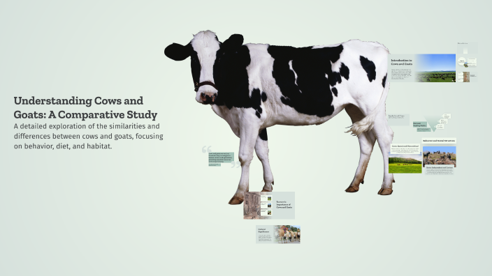Understanding Cows and Goats: A Comparative Study by nik aida on Prezi