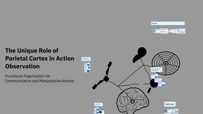 The Unique Role of Parietal Cortex in Action Observation by Arghavan A ...