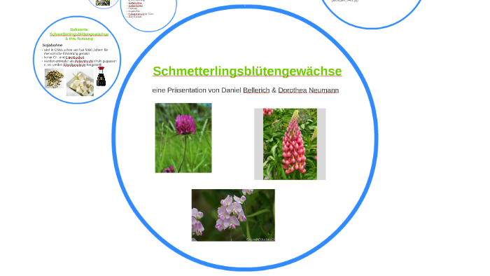 Schmetterlingsblütengewächse by Dorothea Neumann on Prezi