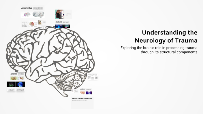 Understanding the Neurology of Trauma by Sheridan Noble on Prezi