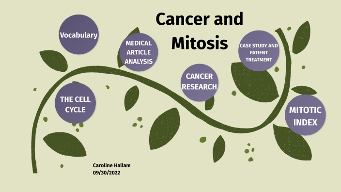 Mitosis and Cancer Case Study by caroline hallam on Prezi Biology Diagrams