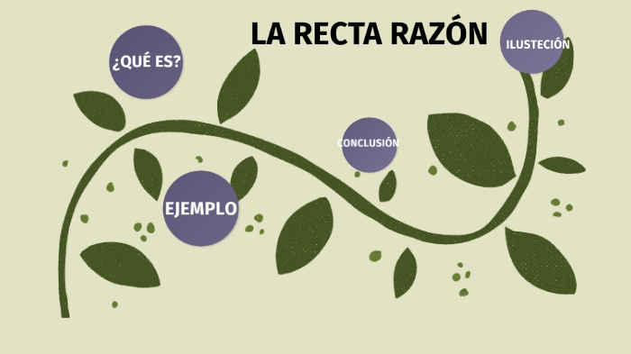 Recta Razon la recta razón by Johanna Rivas Tobar on Prezi