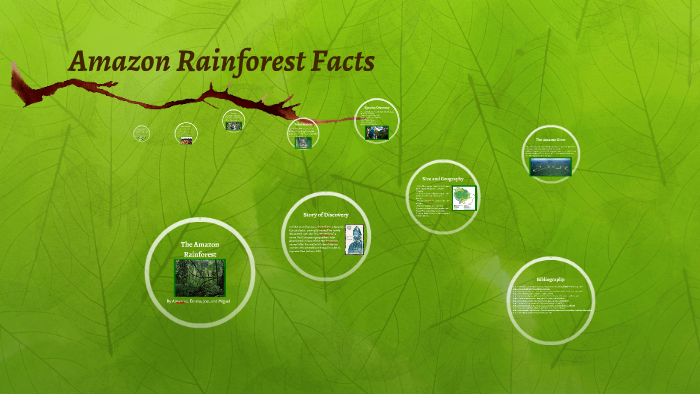 The Amazon Rainforest by Joe H on Prezi