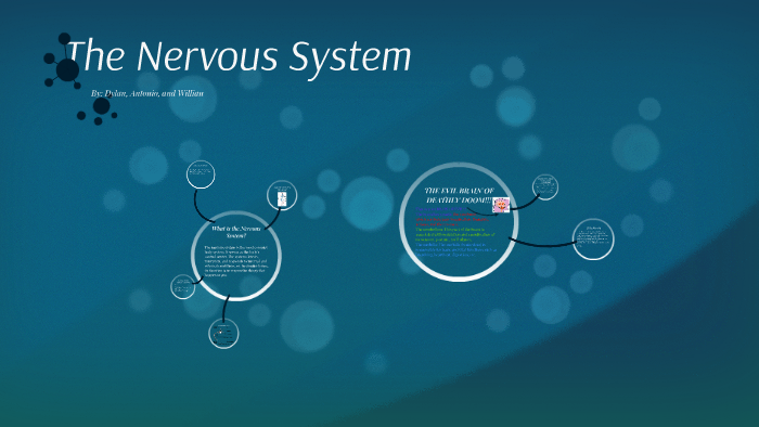 The Nervous System by Dylan Bissessarsingh