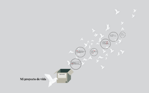 Mi proyecto de vida by santiago callejas zuñiga on Prezi
