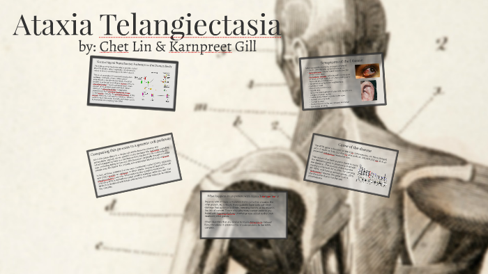 ataxia telangiectasia cell signaling
