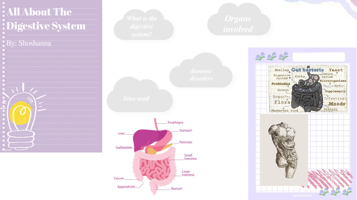 The Digestive System by Shoshanna Garcia on Prezi