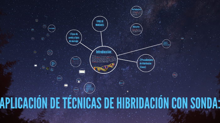 APLICACIÓN DE TÉCNICAS DE HIBRIDACIÓN CON SONDA by Antonio Roman on Prezi