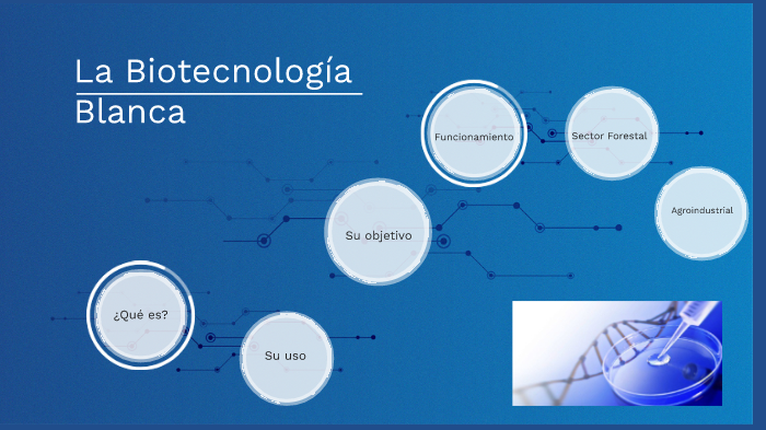 Que Es La Biotecnologia Blanca Shop | cdlguaiba.com.br