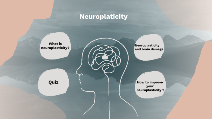 neuroplasticity-by-stella-alvarez-on-prezi