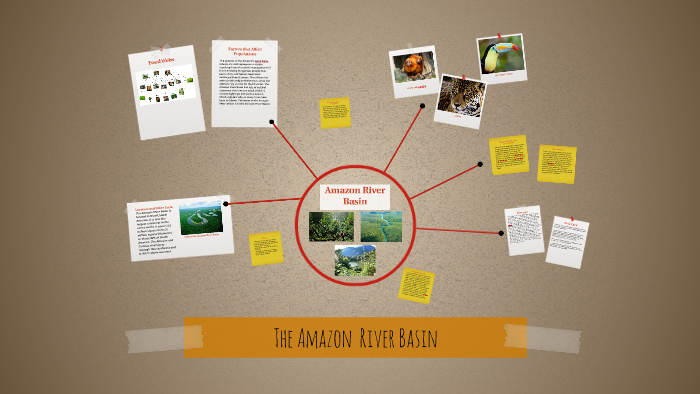 The Amazon River Basin by Sarah Adams on Prezi