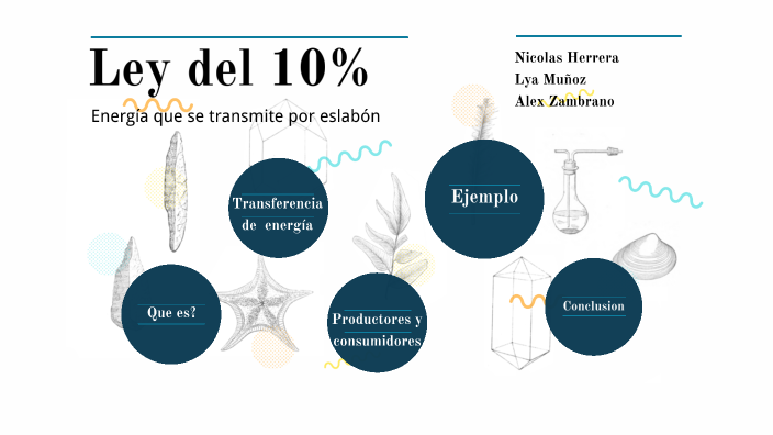 Ley Del 10% By Alex Zambrano On Prezi