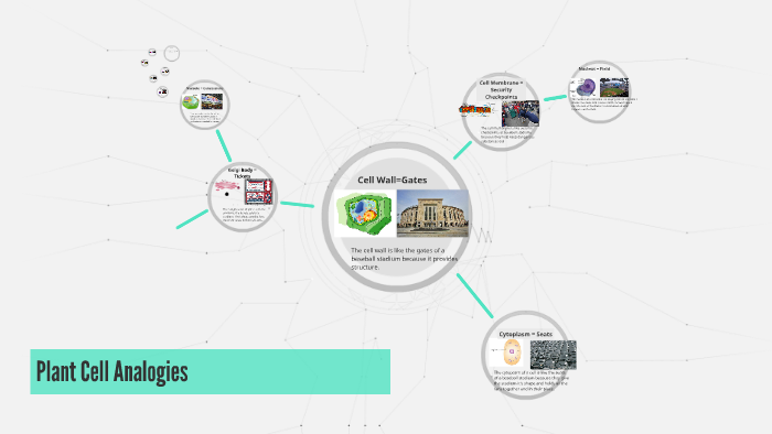 Plant Cell Analogy By Ty Montgomery On Prezi 0539