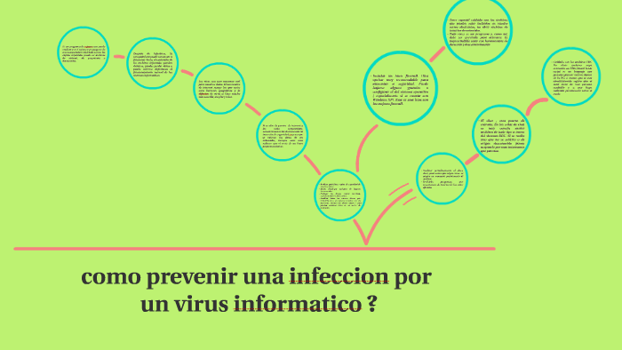 Como Prevenir Una Infeccion Por Un Virus Informatico By Rocio Puma On Prezi 7188