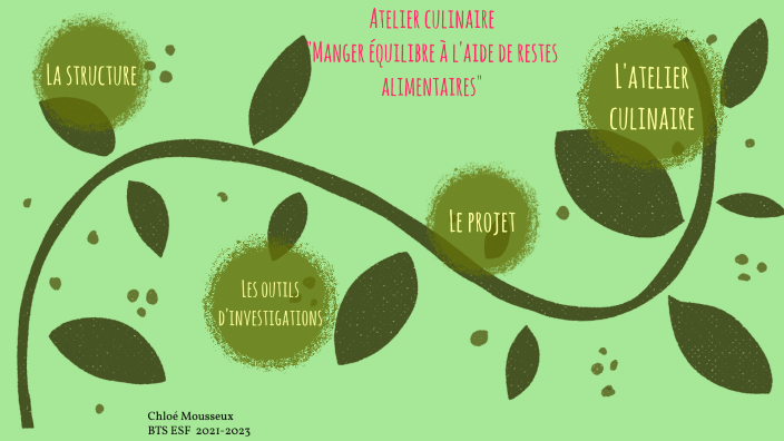 ICAF BTS ESF by chloé mousseux on Prezi
