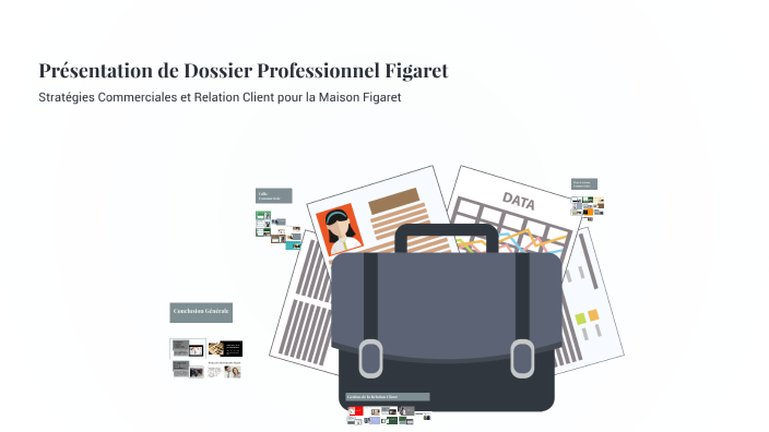 Présentation de Dossier Professionnel Figaret by alexis morel on Prezi