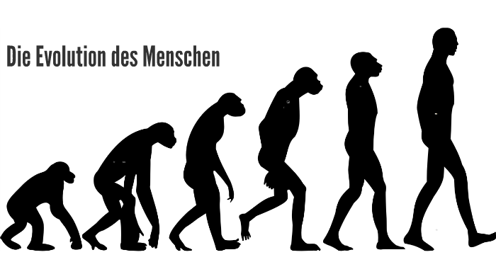 Die Evolution Des Menschen By Lisa Schmidt On Prezi