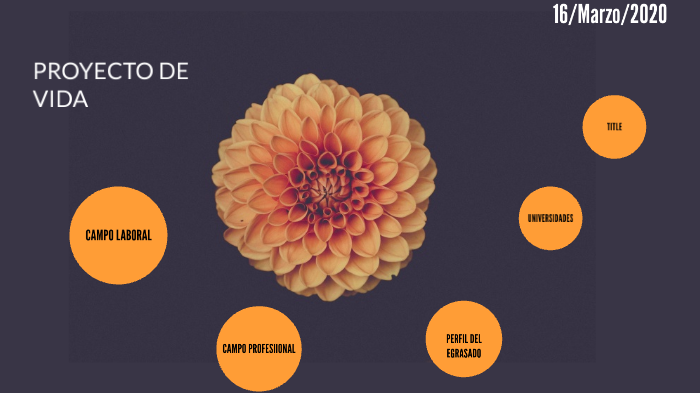 Proyecto De Vida by Vanessa cruz on Prezi